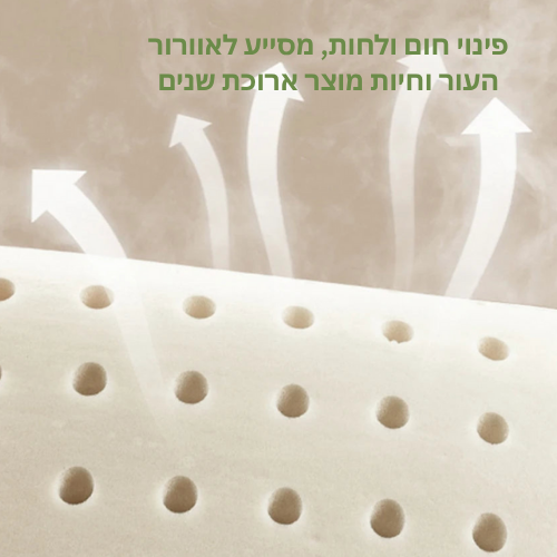 כרית ספוג זיכרון למנח צוואר אופטימלי או כרית מדיטציה אולטימטיבית